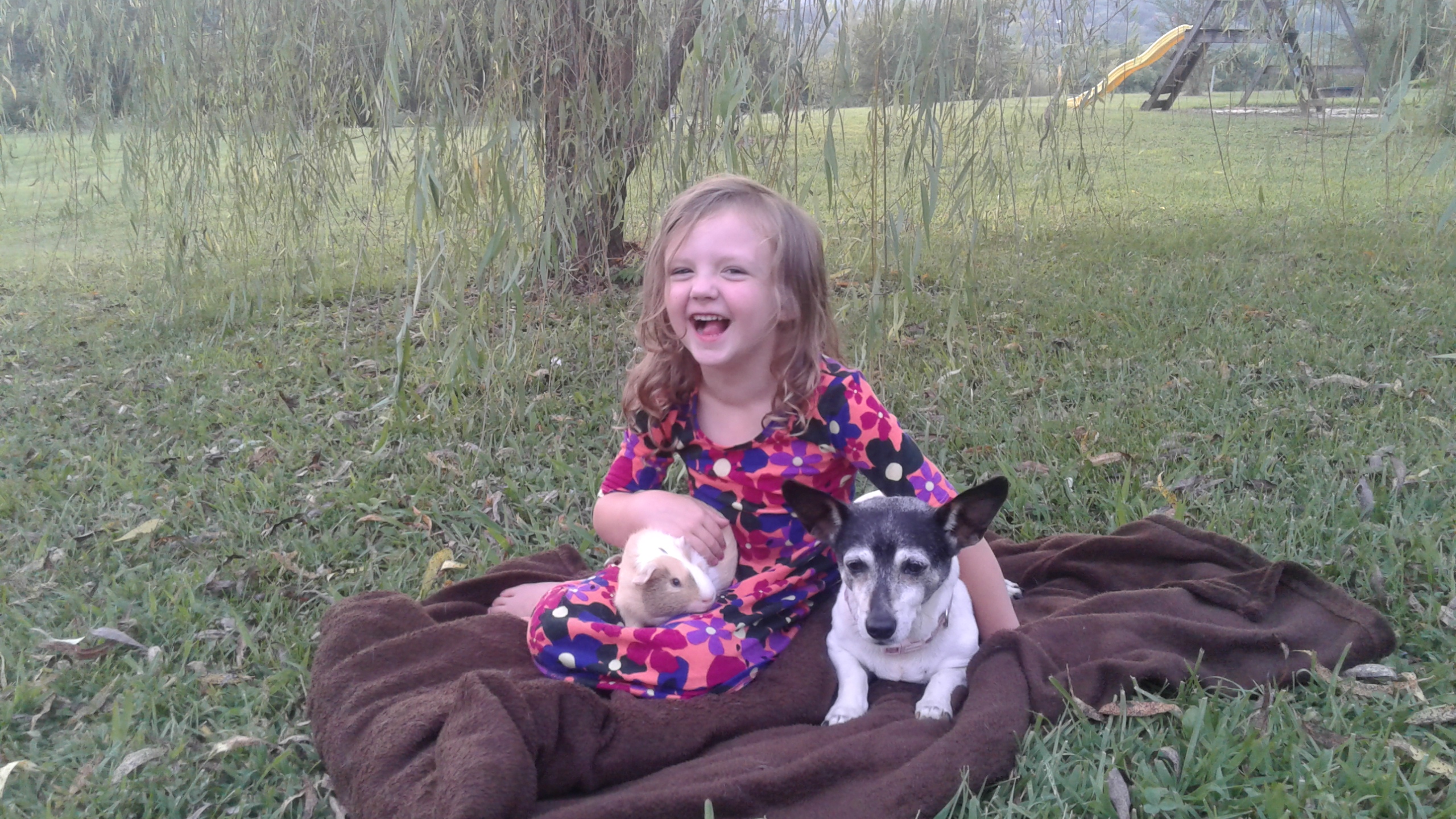 cute girl sitting in the playground , playing with the dog and a rabbit.