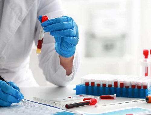 When the Immune System Attacks the Blood: IMHA, ITP, and What to Expect