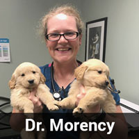 Dr. Morency