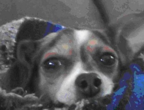 September Case of the Month: THE UNEXPECTED VISITOR